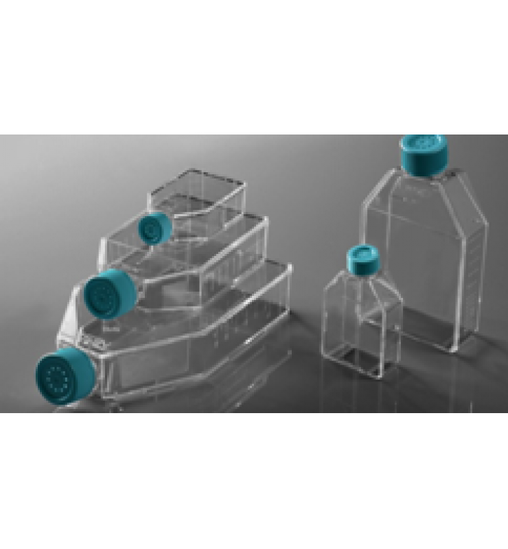 細胞培養(yǎng)瓶 Cell Culture Flasks 細胞培養(yǎng)瓶 Cell Culture Flasks