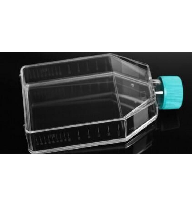 細胞培養(yǎng)瓶 細胞培養(yǎng)瓶