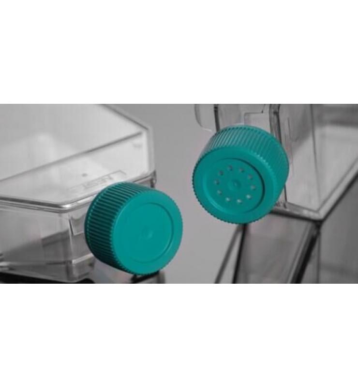 細胞培養(yǎng)瓶 細胞培養(yǎng)瓶